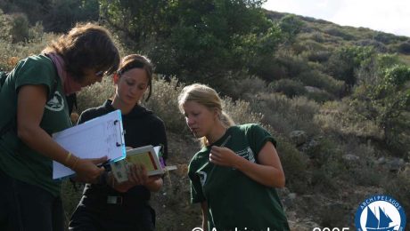 Low level floral survey