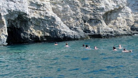 8053176738_e9db41a896_o