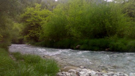 ce95ceb9cebacf8ccebdceb1023