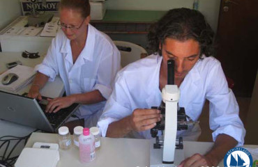 People at Work_Laboratory Work