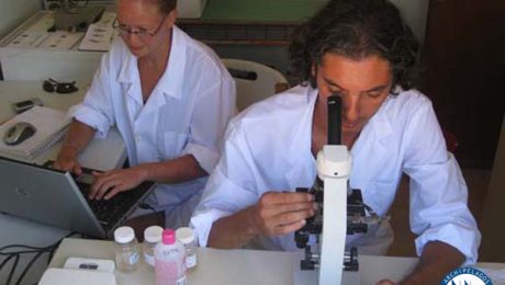 People at Work_Laboratory Work