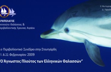 medium_1236094901Flyer_delphin_01