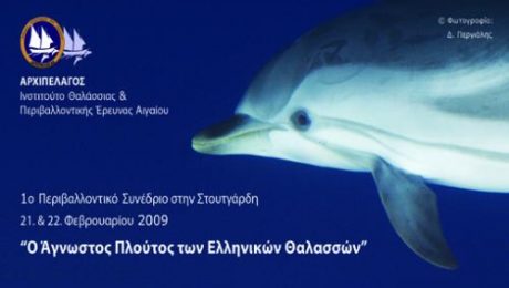 medium_1236094901Flyer_delphin_01