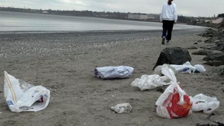 95527432BAA410B9B0BE775366118754