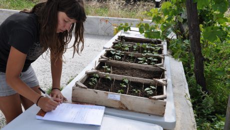 8722174895_0bdfbe7e22_k