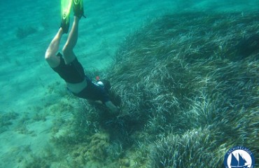 Field Course_Cardiff