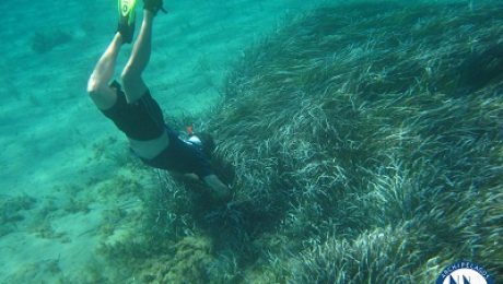 Field Course_Cardiff