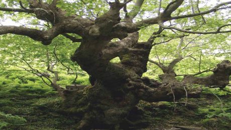 slider-xersaia-prostasia-1