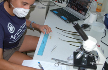 lab-work-archipelagos