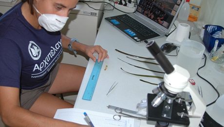 lab-work-archipelagos