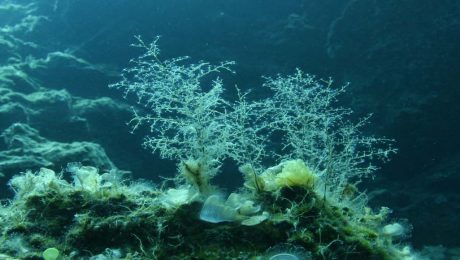 paraktia-oikosysthmata-3