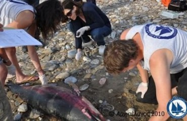 42256ce8b2d35436bf112b61f61c6f0b1313932922