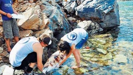 αρχιπελαγο