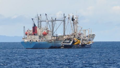 fighting_for_global_sustainable_fisheries