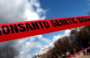 monsanto_activism