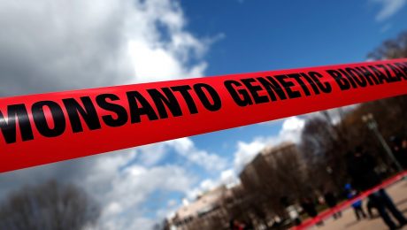 monsanto_activism