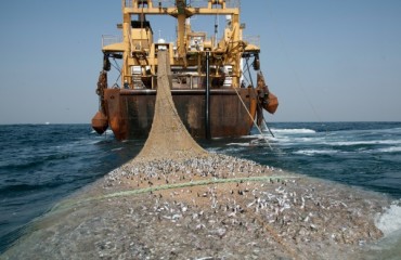 supertrawlernet