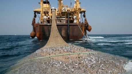 supertrawlernet