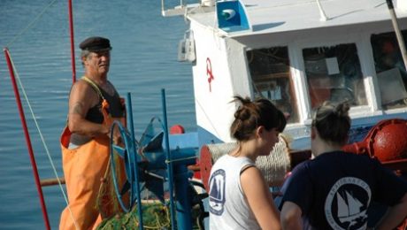 katagrafi alieias_on site II