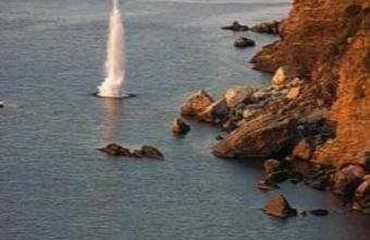 psaremaDynamit-500×330