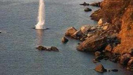 psaremaDynamit-500×330