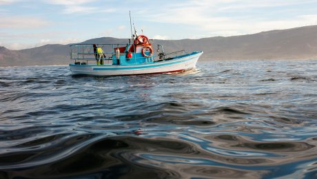 cfp-reform-countdown-background-OCEAN212-corey-arnold