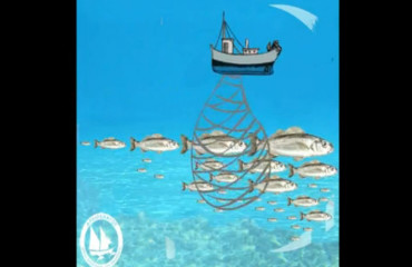 animation_fisheries