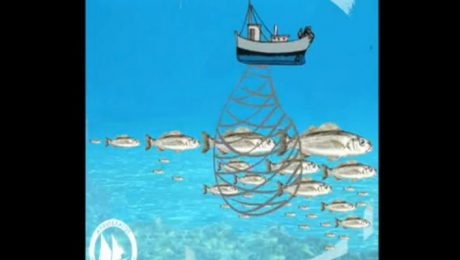 animation_fisheries