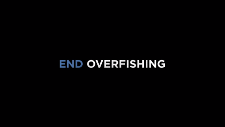 endoverfishing02