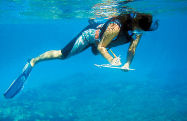 assets_LARGE_t_420_54239743