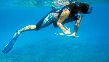 assets_LARGE_t_420_54239743