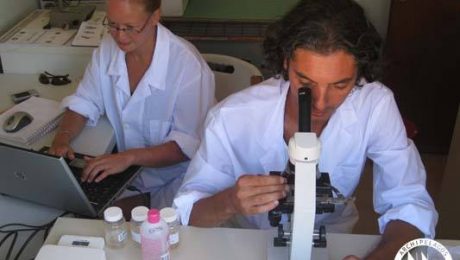 1451986_10151778458290878_1722596028_n