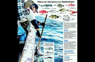 17520529______.limghandler