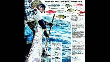 17520529______.limghandler