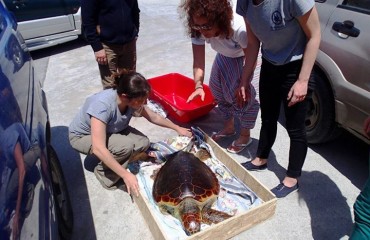 11188396_10152865815445878_1118581667186177738_n