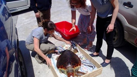 11188396_10152865815445878_1118581667186177738_n