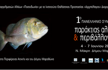 11392818_10152939422610878_5496832730267860940_n