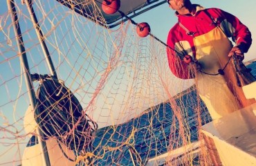 11141225_10206024944839278_4213892475109987674_n