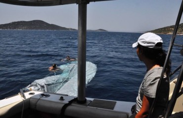 11407304_10152965641895878_3502579537099296949_n