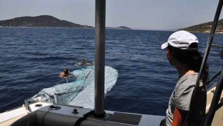 11407304_10152965641895878_3502579537099296949_n