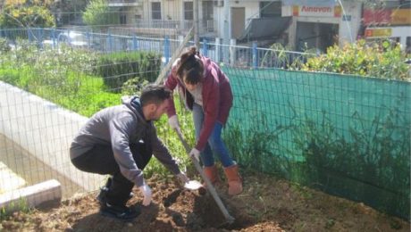 22046650_epal1.limghandler