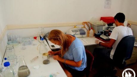 microplastic reserch