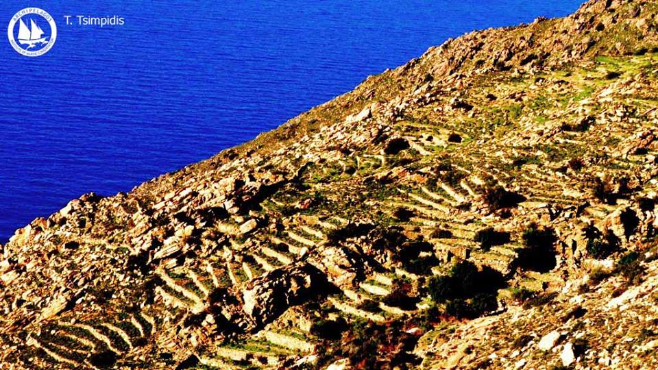 10494554_10153313560865878_5847748220613307298_n