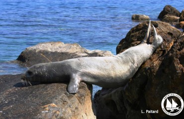 12046950_10153191091285878_6256673543403033272_n