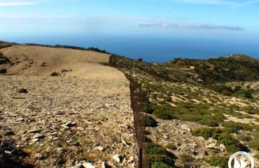 1453248_10153313560495878_6396440271913904714_n