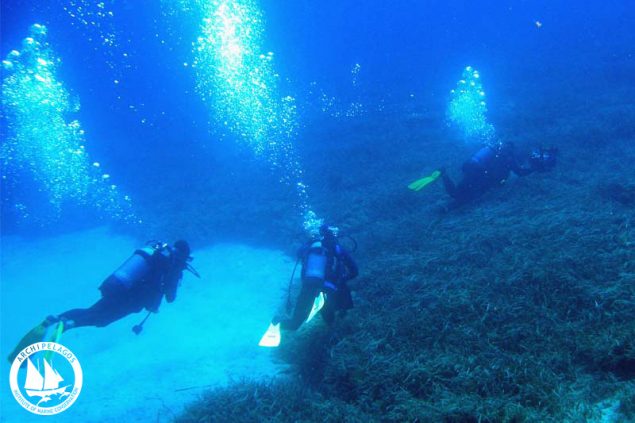 Assessing_the_biodiversity