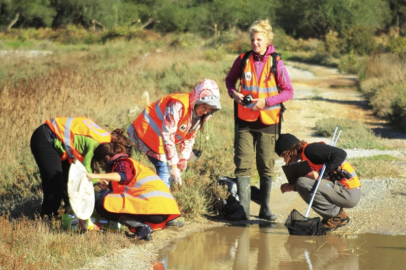 freshwater_ecosystems (1)