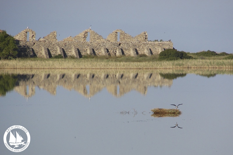 freshwater_ecosystems (3)