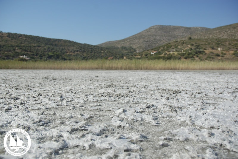 freshwater_ecosystems (4)