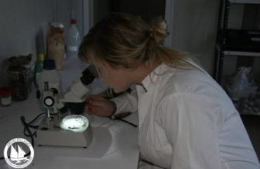 laboratory